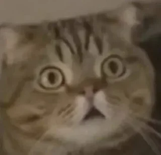 Sticker Больше тут 👉 @premiumstikery - 10