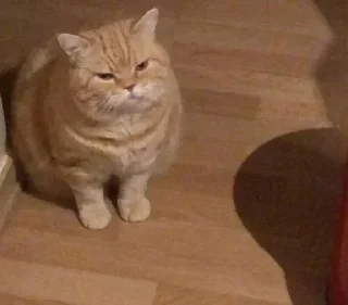 Sticker Больше тут 👉 @premiumstikery - 3