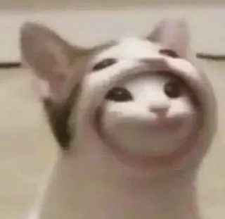 Sticker Больше тут 👉 @premiumstikery - 1