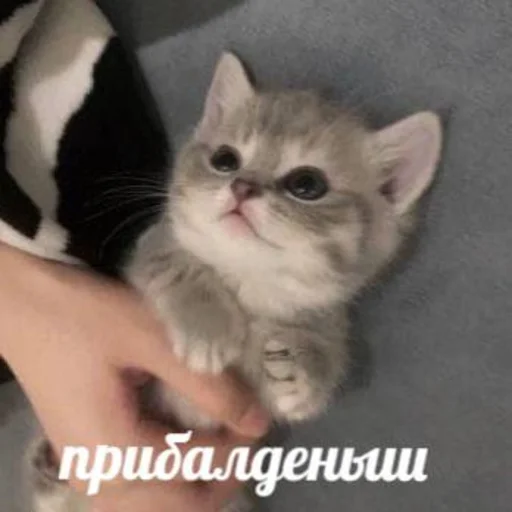 Стикер prettypoooison - 1