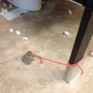 Sticker приколы - 4