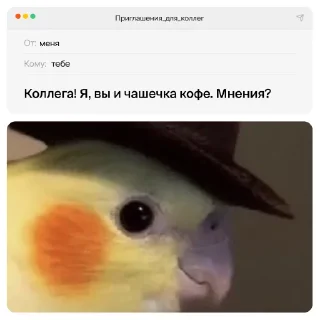 Стикер приглашения для коллег - 1