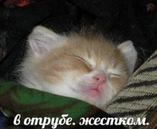 Стикер мнямням - 4