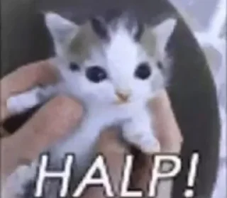 Стикер мнямням - 9