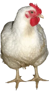 Sticker Присядь на бутылочку - 1