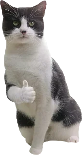 Sticker Присядь на бутылочку - 4