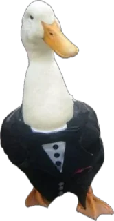 Sticker Гусь Лизы. НЕ ТРОГАТЬ БЕЗ РАЗРЕШЕНИЯ! - 2