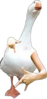 Sticker Гусь Лизы. НЕ ТРОГАТЬ БЕЗ РАЗРЕШЕНИЯ! - 8