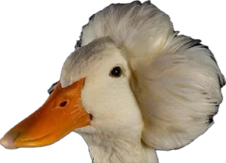 Sticker Гусь Лизы. НЕ ТРОГАТЬ БЕЗ РАЗРЕШЕНИЯ! - 11