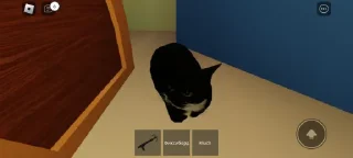 Sticker Привет пусик @TgEmodziBot - 1