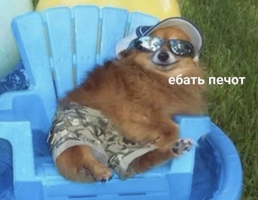 Sticker privetyamashka - 1