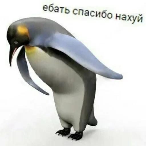 Стикер privetyamashka - 1