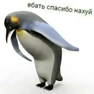 Стикер grecha - 1