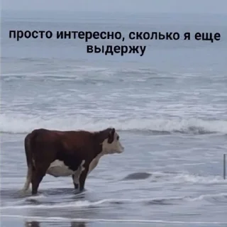 Стикер grecha - 10