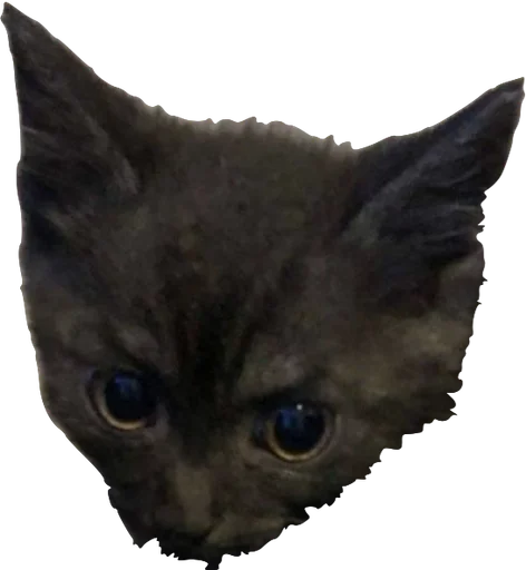 Sticker priyatniy_pack - 1