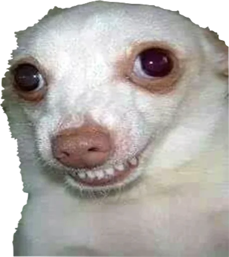 Стикер priyatniy_pack - 1