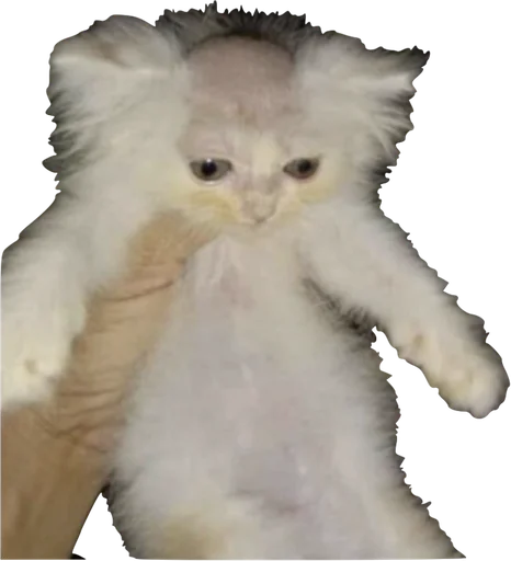 Стикер priyatniy_pack - 1