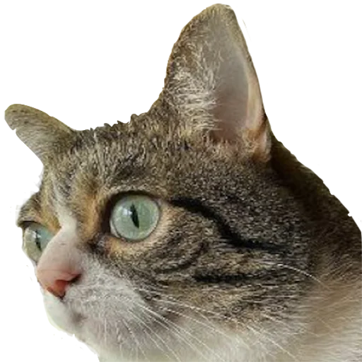 Стикер priyatniy_pack - 1