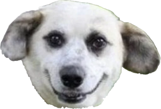 Sticker priyatniy_pack - 1