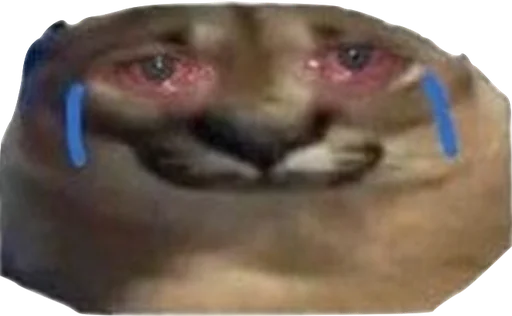 Стикер priyatniy_pack - 1