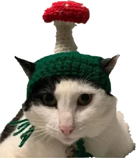 Sticker приятный набор - 2