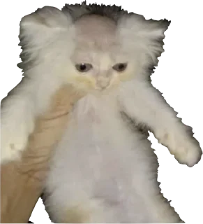 Sticker приятный набор - 8