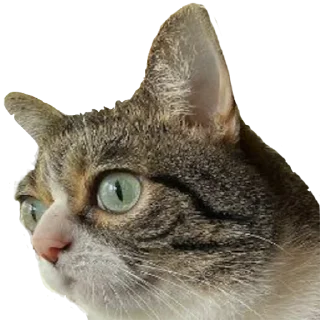 Sticker приятный набор - 5