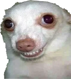 Sticker приятный набор - 11