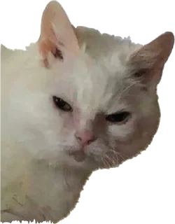 Sticker приятный набор - 9