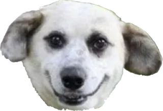 Sticker приятный набор - 4