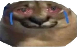 Sticker приятный набор - 0