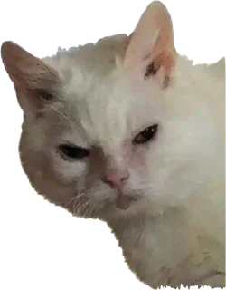 Sticker приятный набор - 10