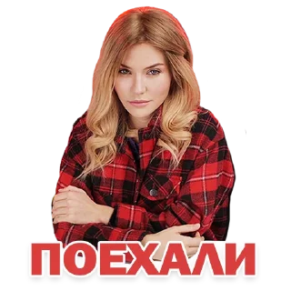 Стикер ПРОЕКТ ШМЕЛЯ - 2