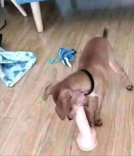 Sticker progulkaSadom - 1