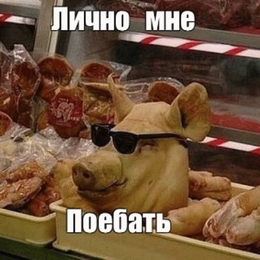СМС фаст-фуд закуска