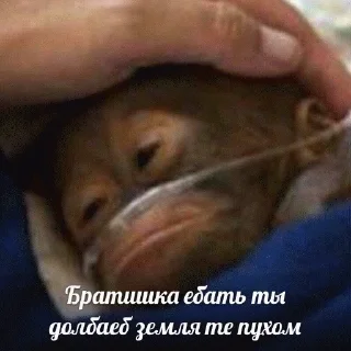 Sticker ПРОИГРАЛ - 7