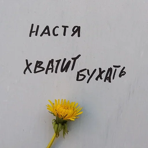 цветок почерк СМС