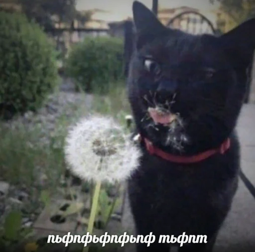 Sticker по ржать - 11