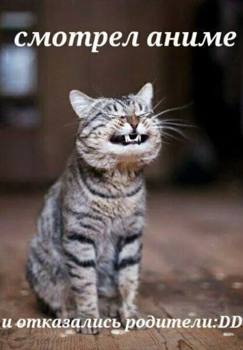 Sticker по ржать - 9