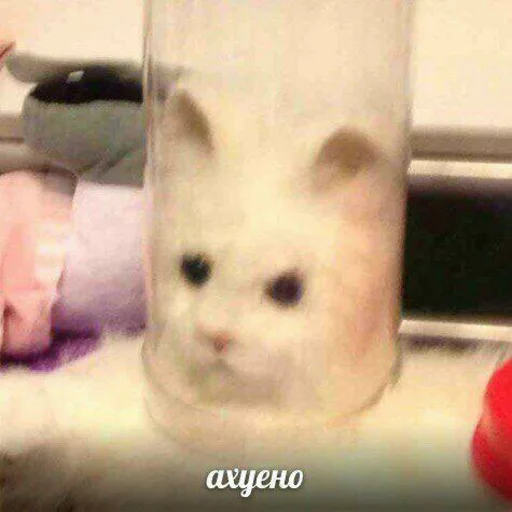 Sticker по ржать - 8