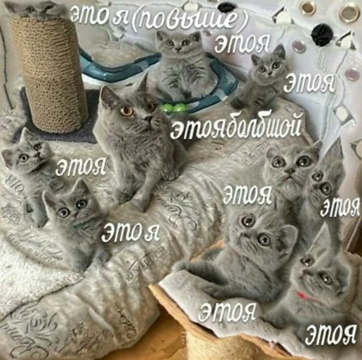 Sticker по ржать - 2