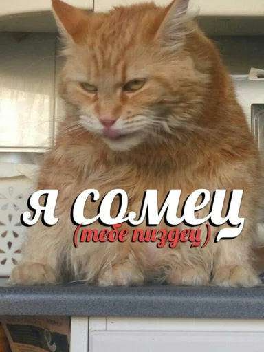 Sticker по ржать - 1