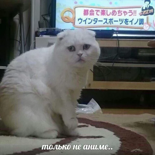 Sticker по ржать - 0