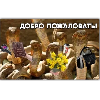 Sticker Пролетарии - 2