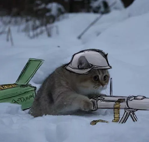 на открытом воздухе снег зима