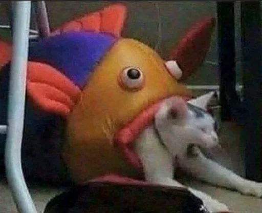 комнатный млекопитающее домашнее животное