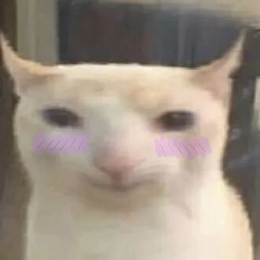 Sticker prostokotnykotek69 - 1