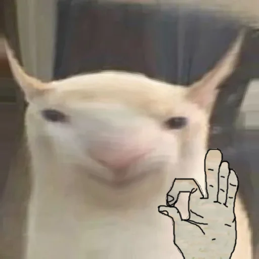 Sticker prostokotnykotek69 - 1