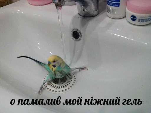 Sticker xuilo a ne sticker pack :: @fStikBot - 6