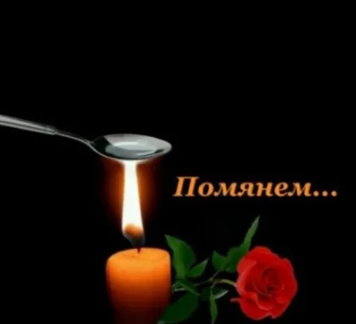 Стикер 🤍🤍 - 8